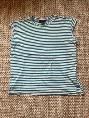 AYR supercool short, blue and white stripe, size small